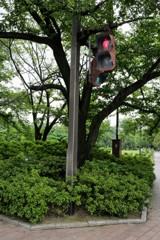 信号も日陰が好き