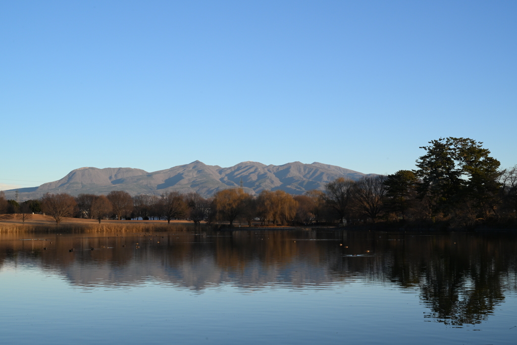 大室公園の朝②