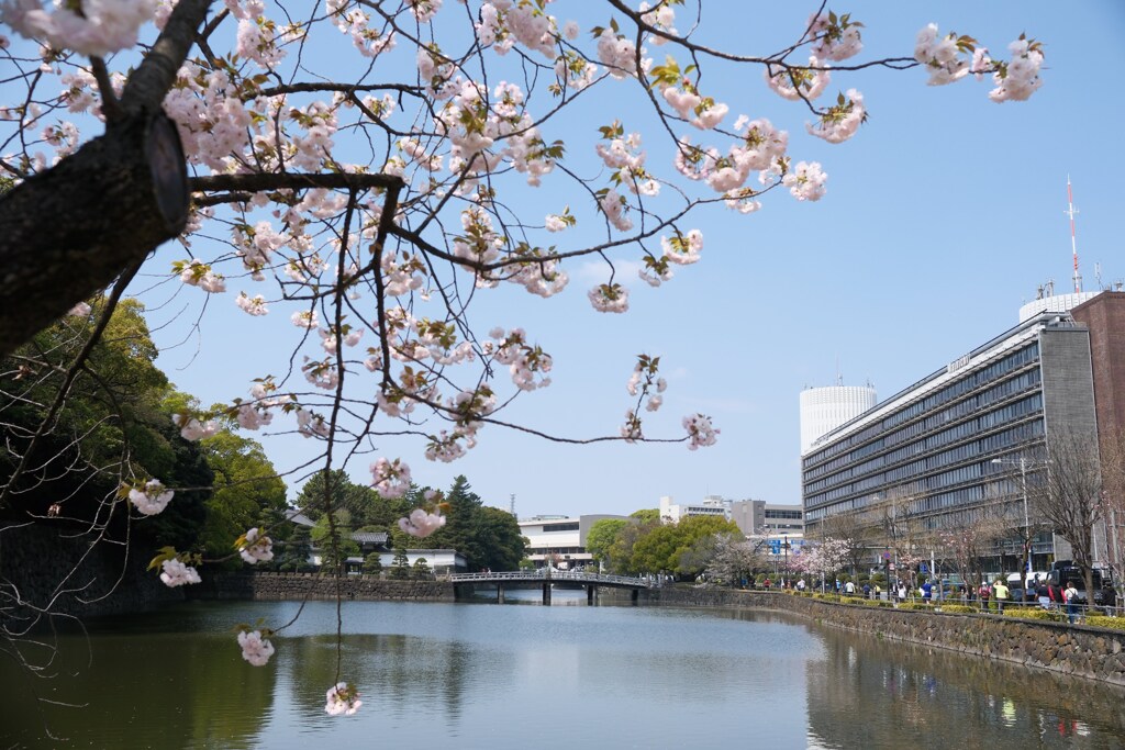 桜のある風景⑥