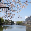 桜のある風景⑥