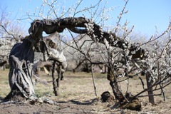 おつかれさま①