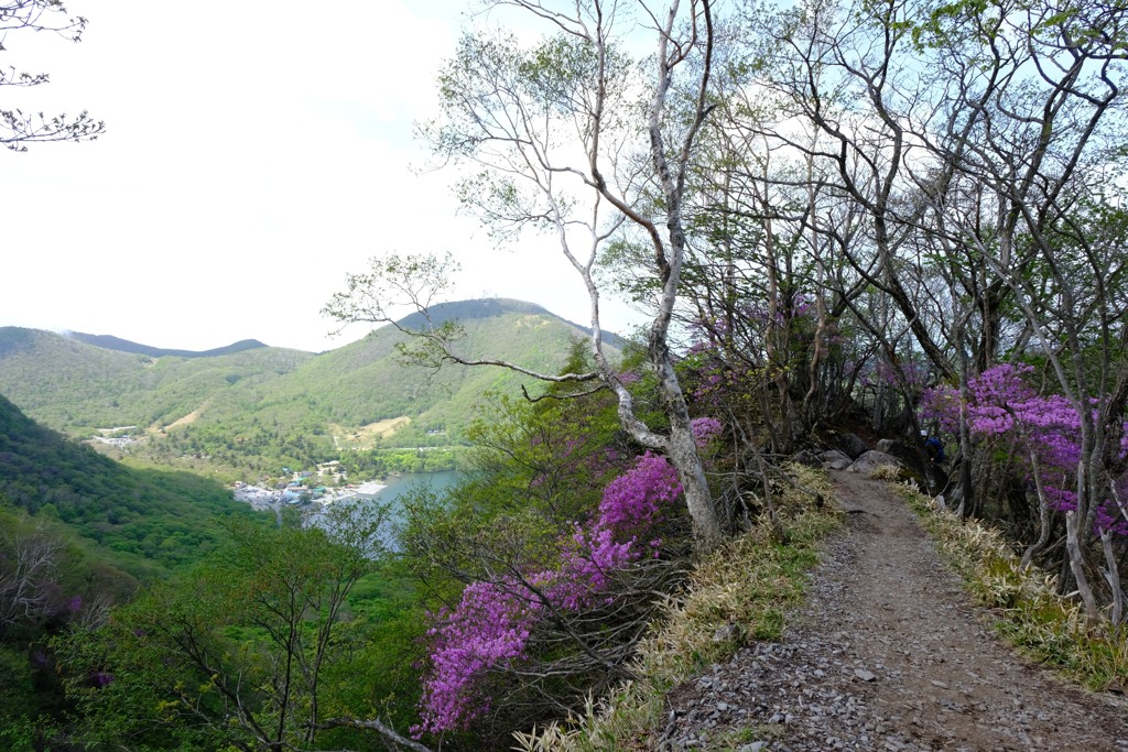 登山道①