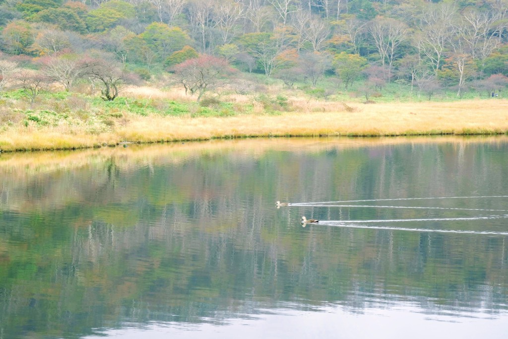湖面の彩