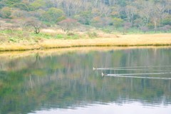 湖面の彩