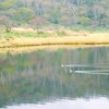 湖面の彩