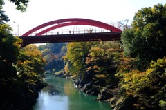 高津戸峡の紅葉②-2