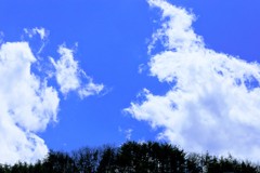 今日の雲