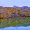 小沼の紅葉①