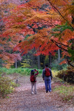 赤城自然園①