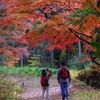赤城自然園①