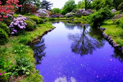 赤城自然園　寸景①