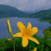 野反湖②