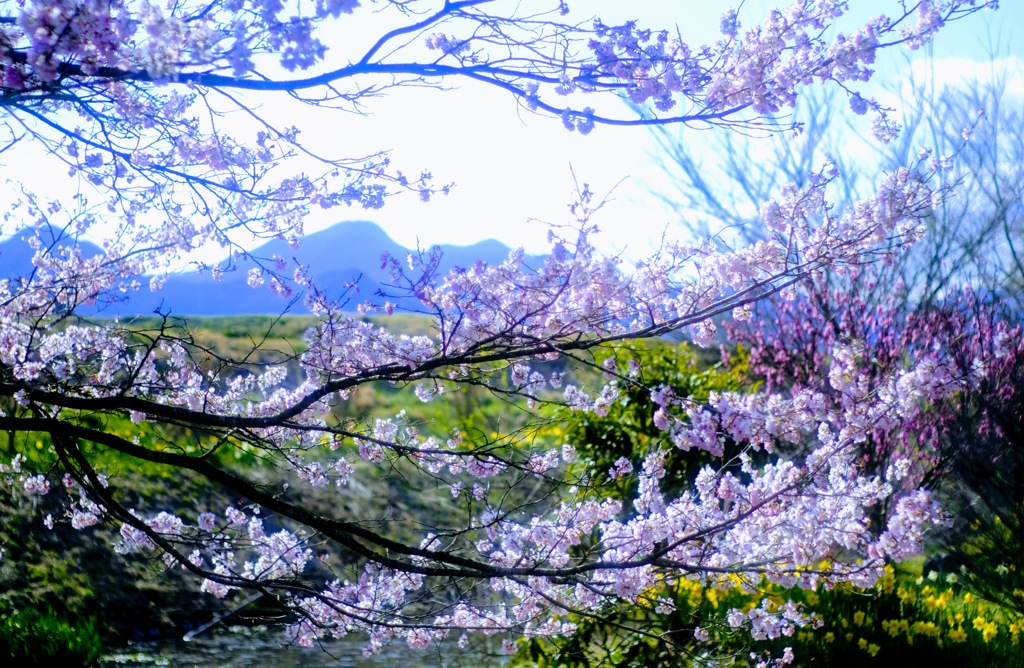 岩井親水公園 By コンコン Id 写真共有サイト Photohito