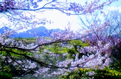 岩井親水公園③