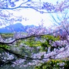 岩井親水公園③