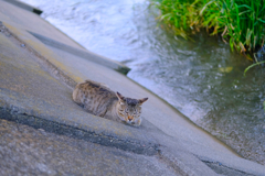 こんなところでくつろがなくても