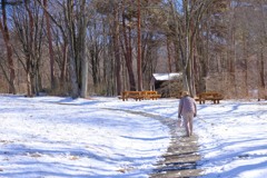 赤城自然園の雪景色②