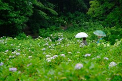 荻窪公園②