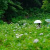 荻窪公園②