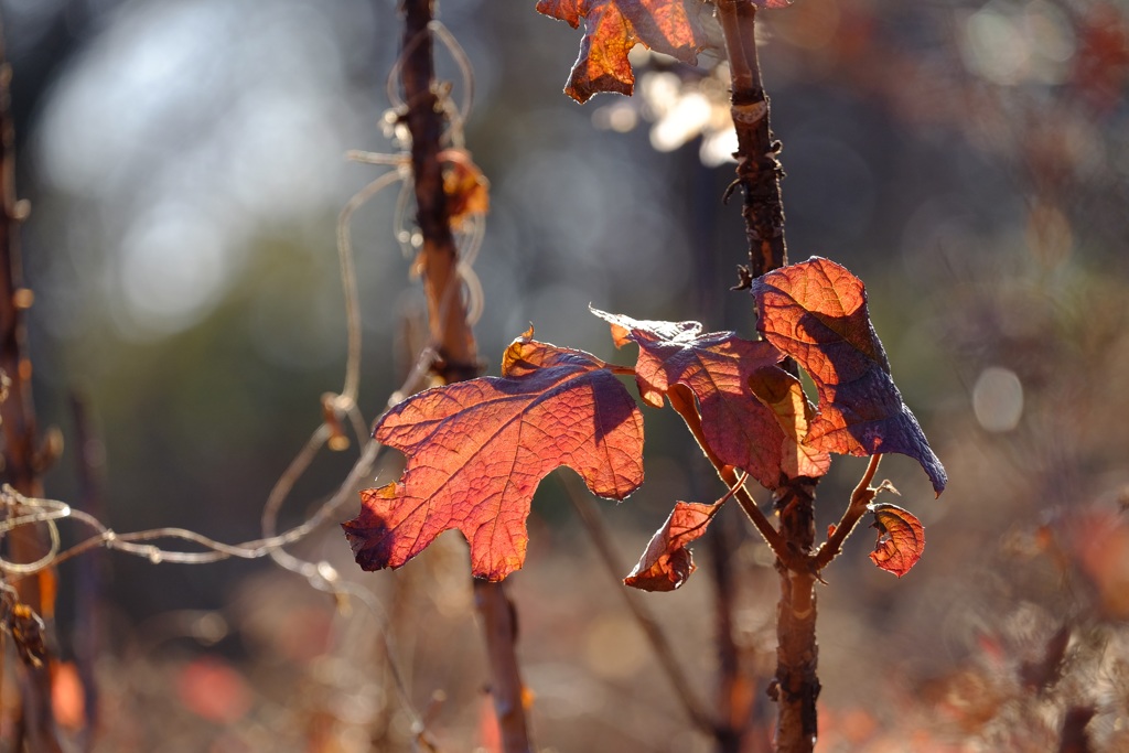 そろそろ世代交代