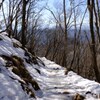 登山道