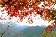 桜山公園⑥