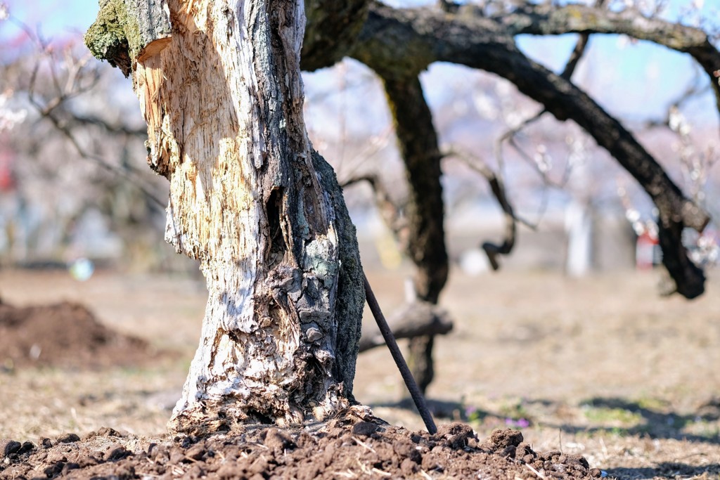 おつかれさま③