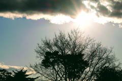 赤城自然園にて④