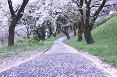 散花