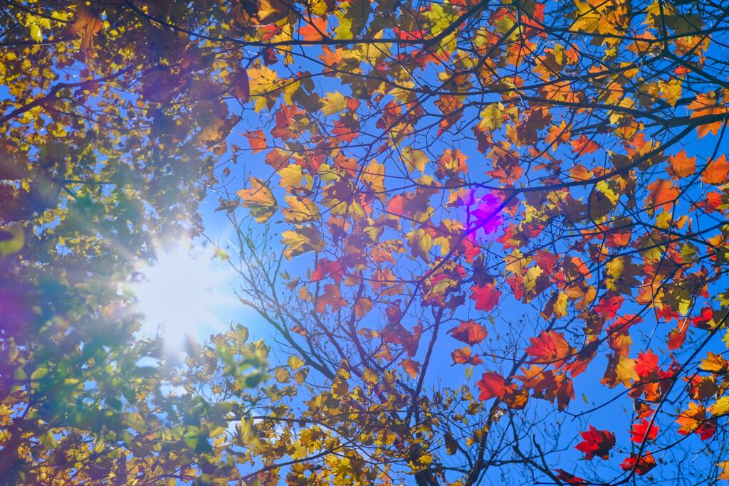 赤城山の紅葉⑤