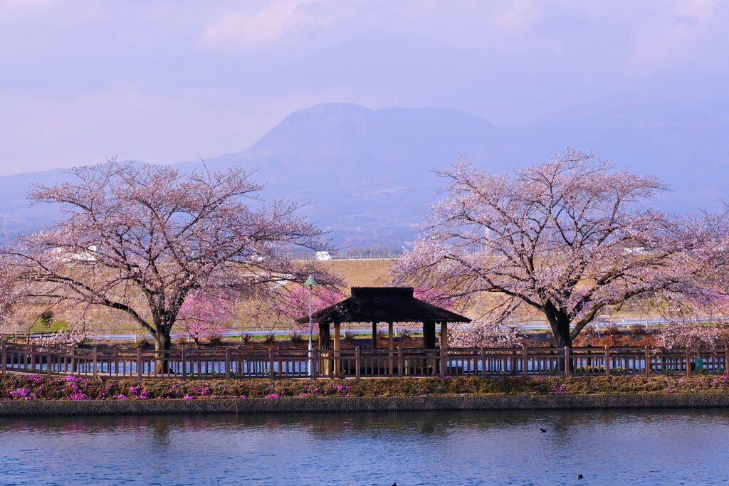 憩いの場