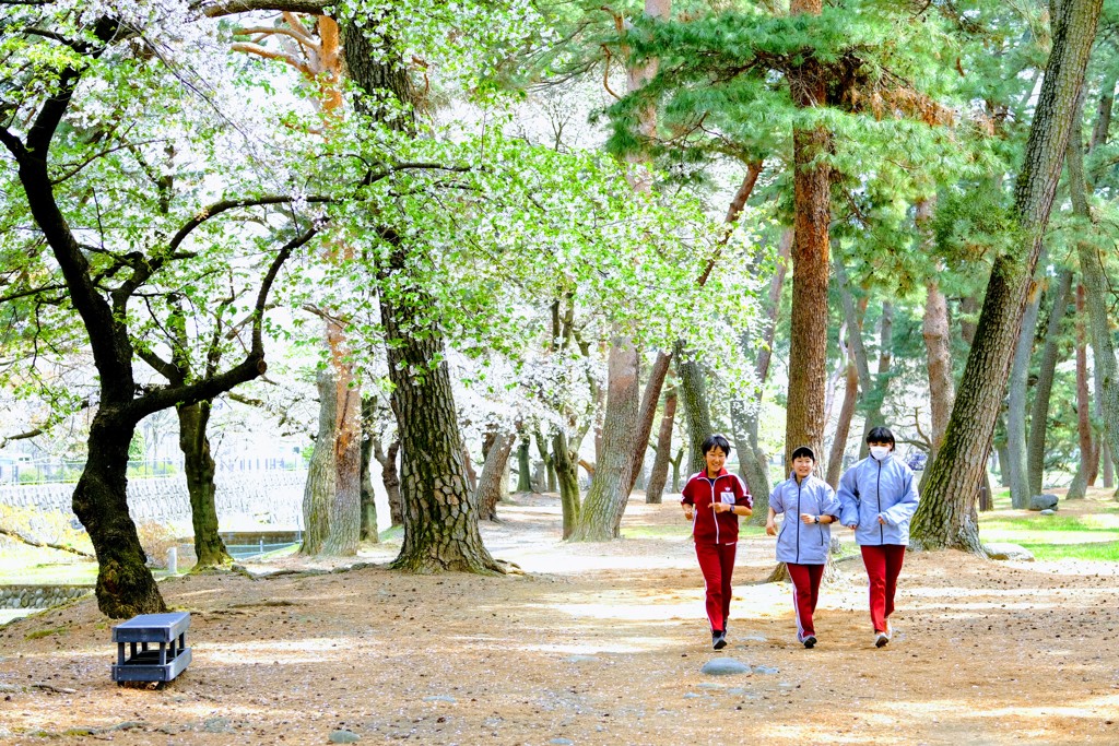 葉桜の中を