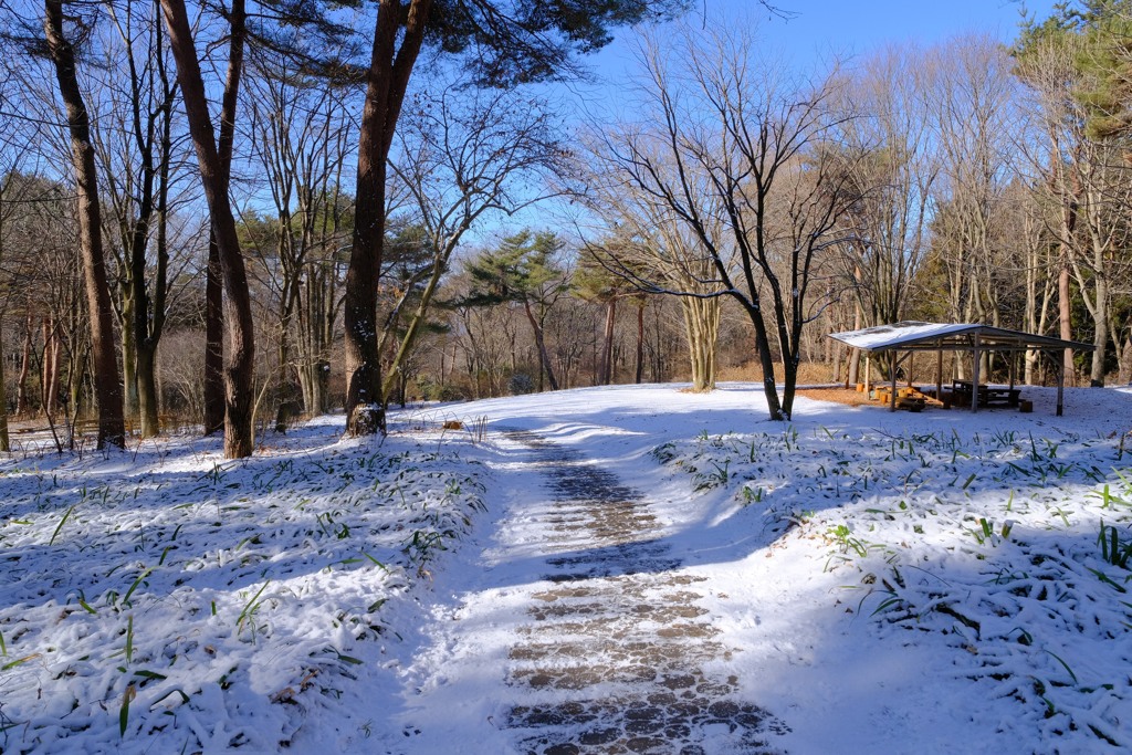 赤城自然園の雪景色⑧