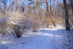 赤城自然園の雪景色⑦