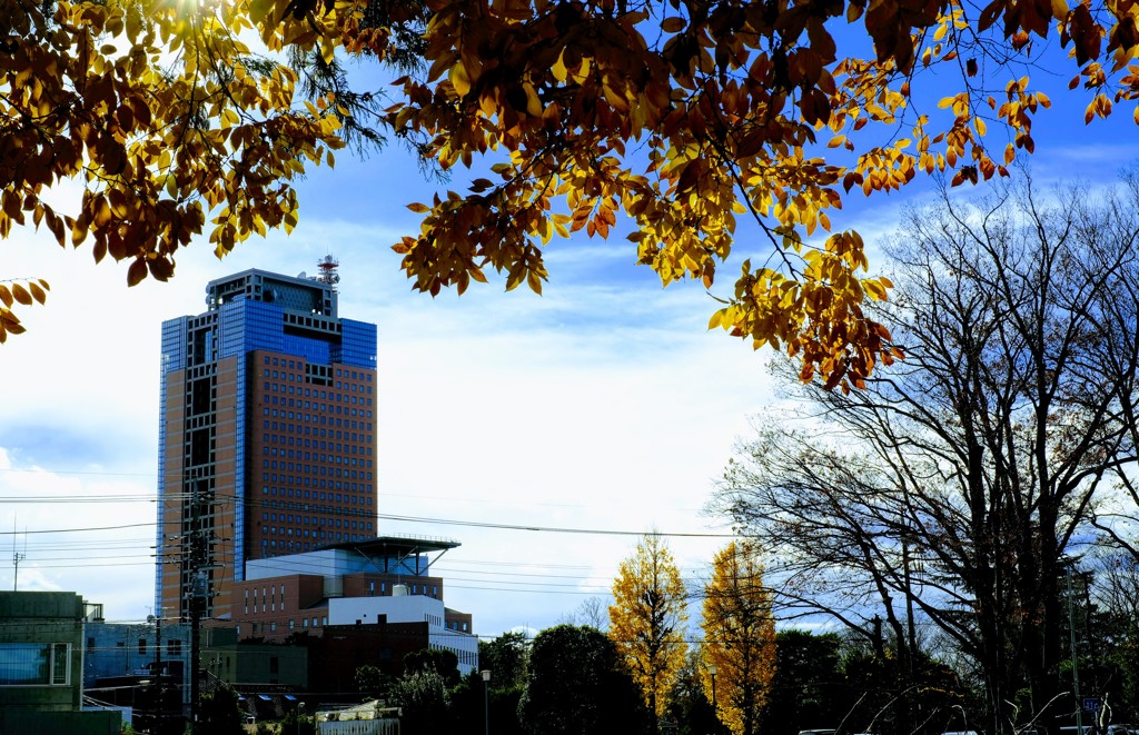 県庁舎