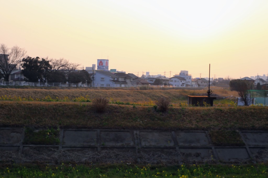 夕方の散歩コース