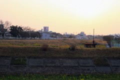 夕方の散歩コース