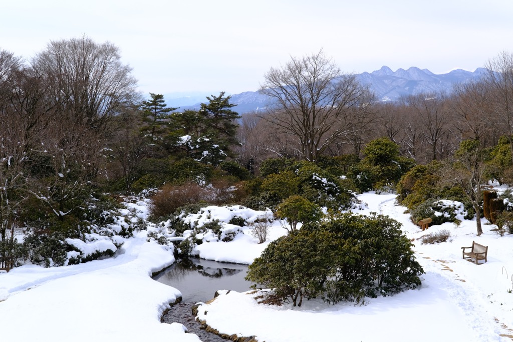 赤城自然園③