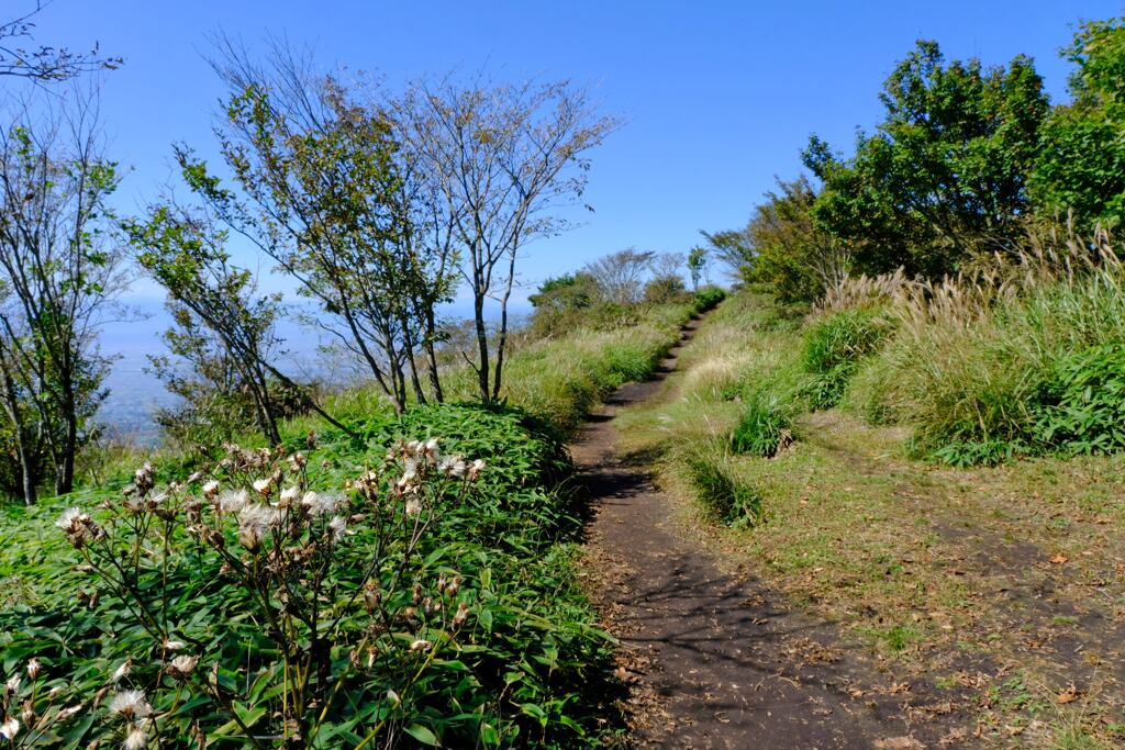 登山道