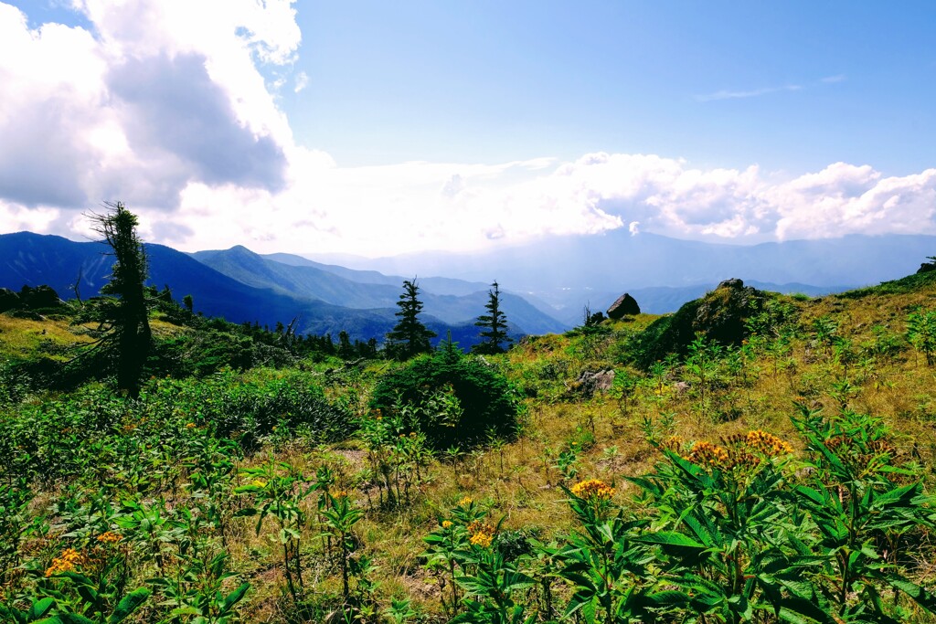 日光白根山の中腹