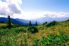 日光白根山の中腹