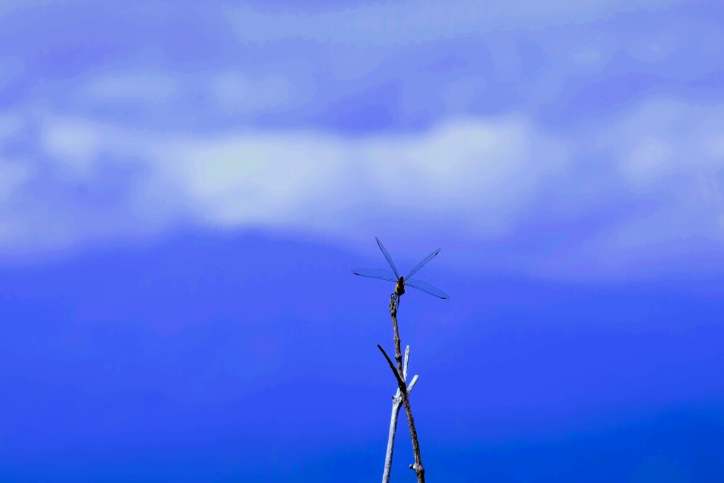 涼風を浴びて