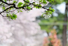 ファンタジック②