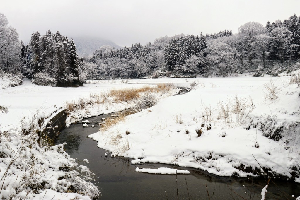 雪が止んで
