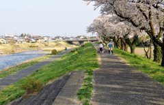 桃木川沿いで①