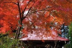 赤と朱のコラボ①