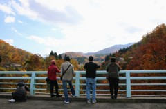 紅葉見納め