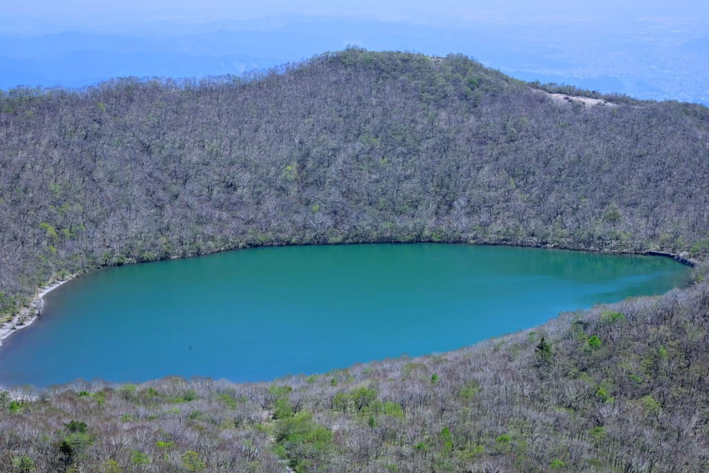 小沼