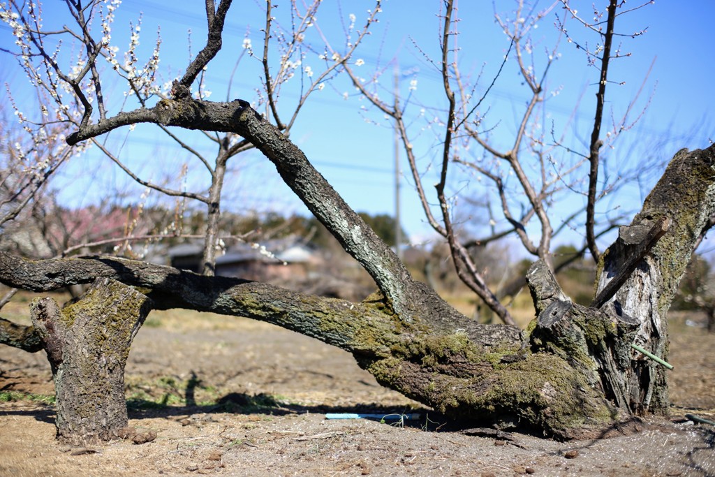 おつかれさま②