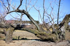 おつかれさま②